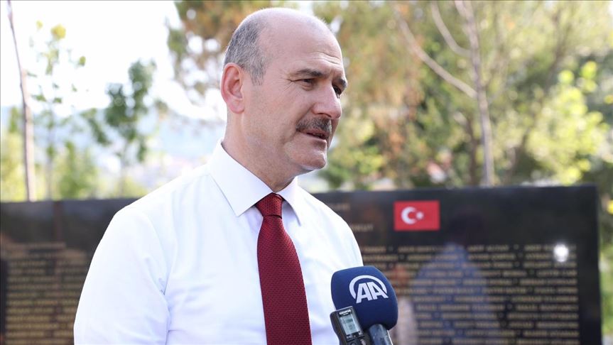 soylu