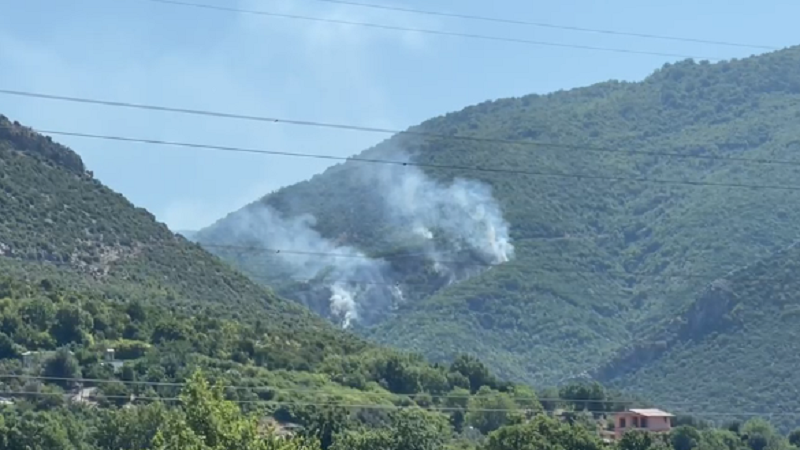Vatrat e zjarrit po përhapen në fshatin Lalm, digjen shkurre&hellip;