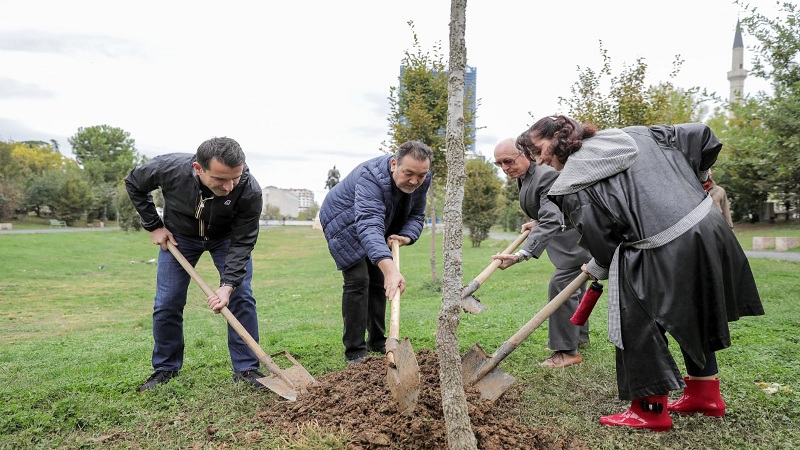 Një pemë në Parkun “Europa” në përkujtim të Rozmari Jorganxhi,&hellip;