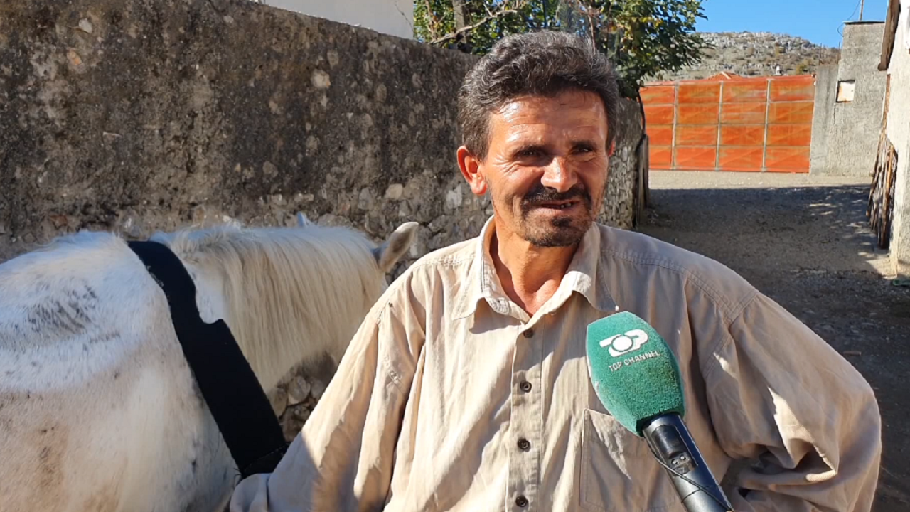 Shkodër/ Në fshat ka vetëm pleq, të gjithë të rinjtë&hellip;