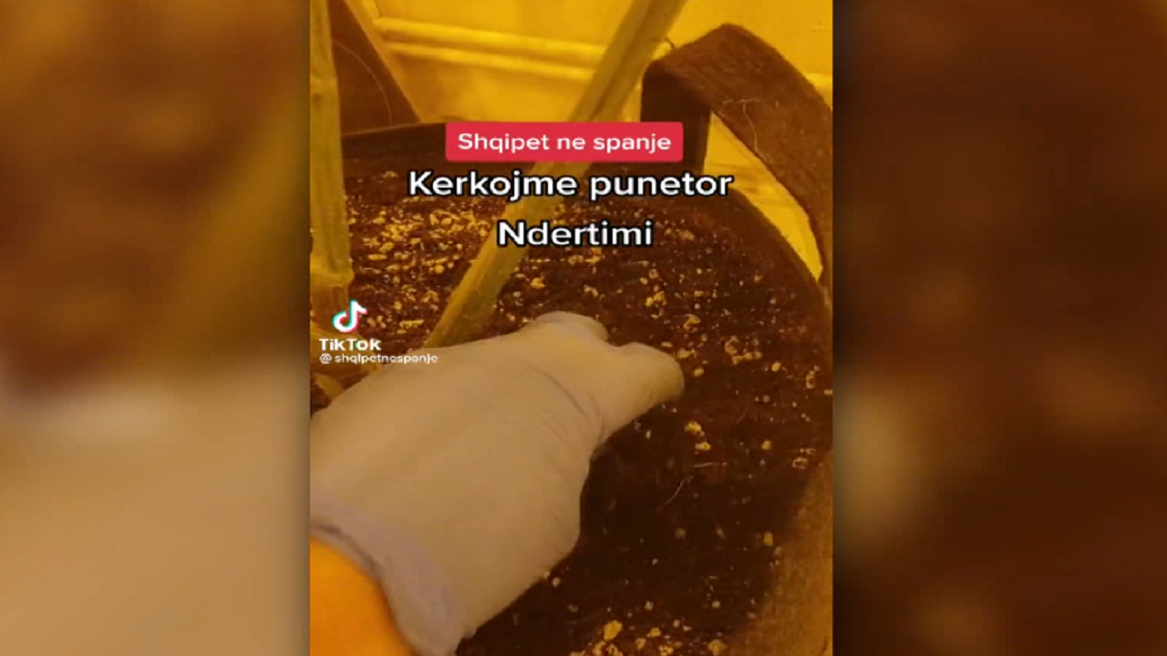 Shtëpitë e barit në Spanjë/ Destinacioni i ri që josh&hellip;