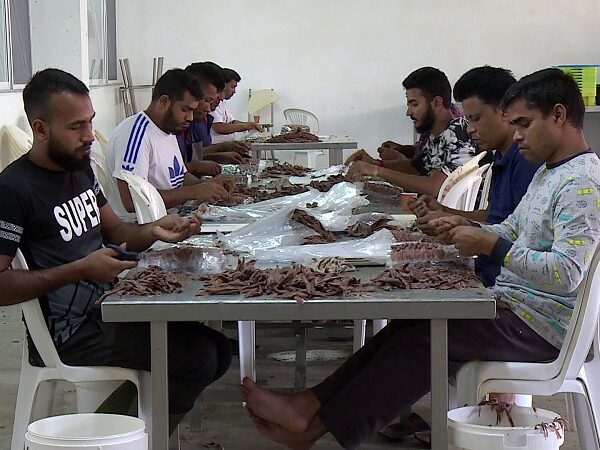 Punonjësit nga Bangladeshi ikin natën nga Vlora, gazetarja: Po braktisin&hellip;