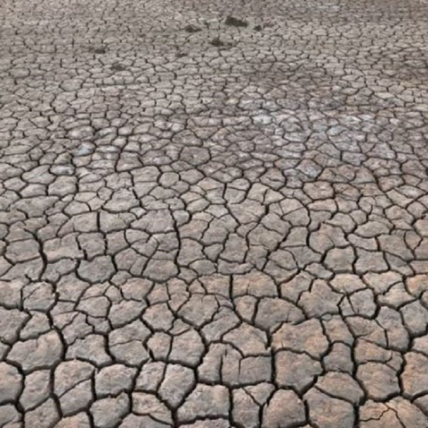 Bota mund të ngrohet më shumë se 1.5 gradë Celsius&hellip;