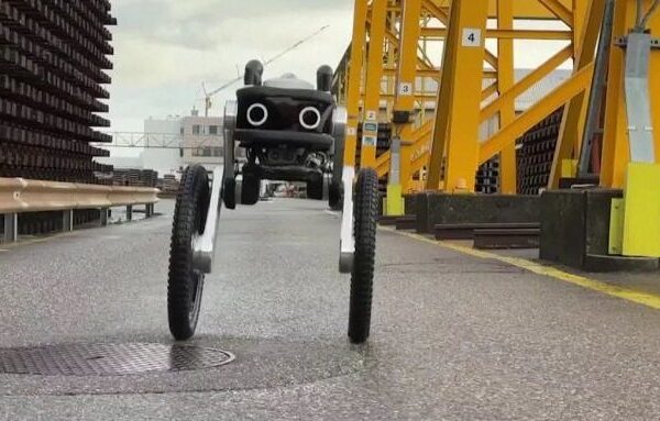 Roboti i inteligjencës artificiale që po zëvendëson njerëzit si roje&hellip;