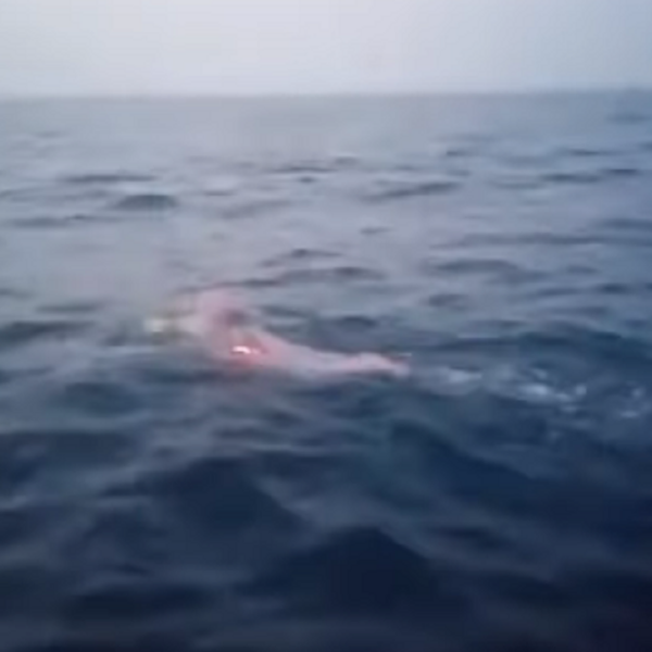 Nga brigjet e Italisë drejt Vlorës/ Eva Buzo ndërpret pas&hellip;