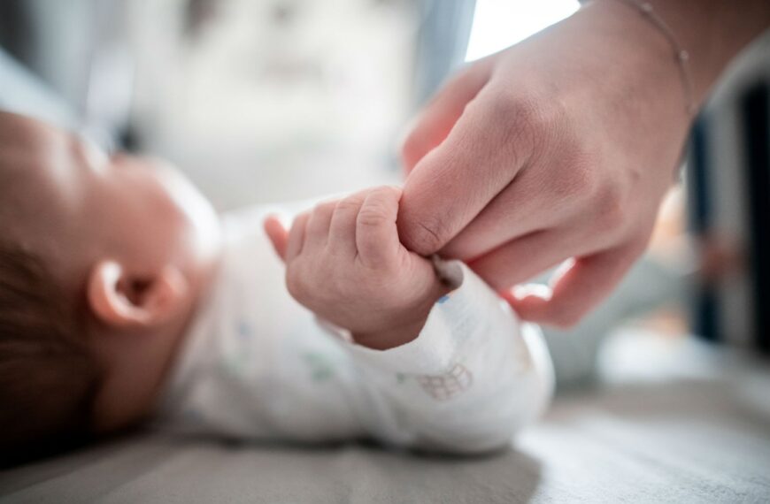 Korça dhe Vlora drejt shuarjes, fertiliteti më pak&hellip;