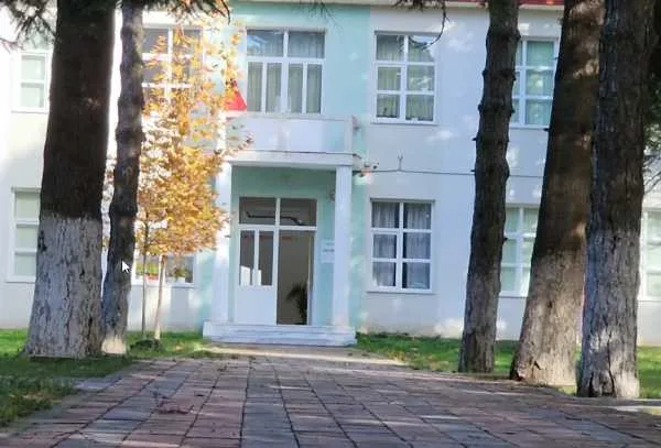 Mësuesja i gjen biçak në çantë, procedohet penalisht 13-vjeçari