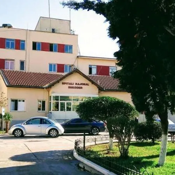 E rëndë në Shkodër, 16-vjeçarja humb jetën pas një arresti&hellip;