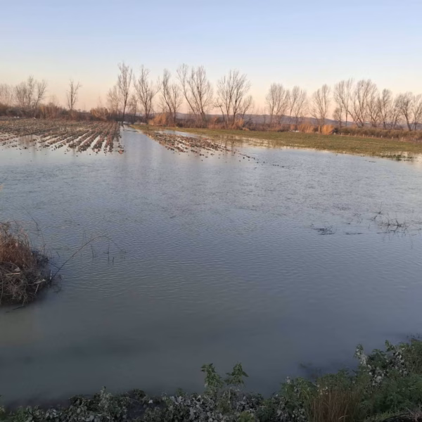 Shkarkimet nga digat dhe kanalet e bllokuara, rritet sipërfaqja e&hellip;
